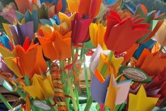 564165212_1404438158221207_7751001864294423853_n